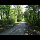 Im Nationalpark Donau-Drau